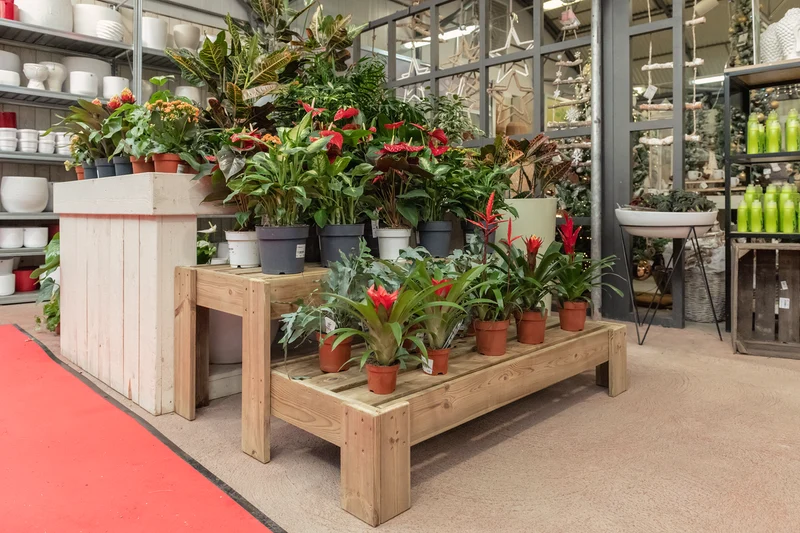 Expositor Escalera De Madera Podium Hortalia