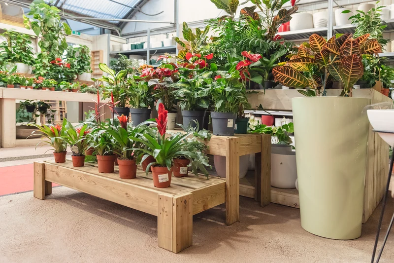 Expositor Escalera De Madera Podium Hortalia