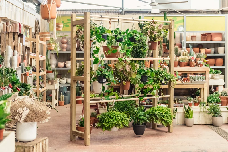 Expositor De Madera Para Plantas Colgantes Pothus Hortalia