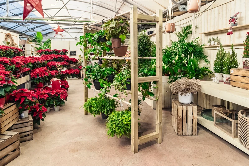 Expositor De Madera Para Plantas Colgantes Pothus Hortalia