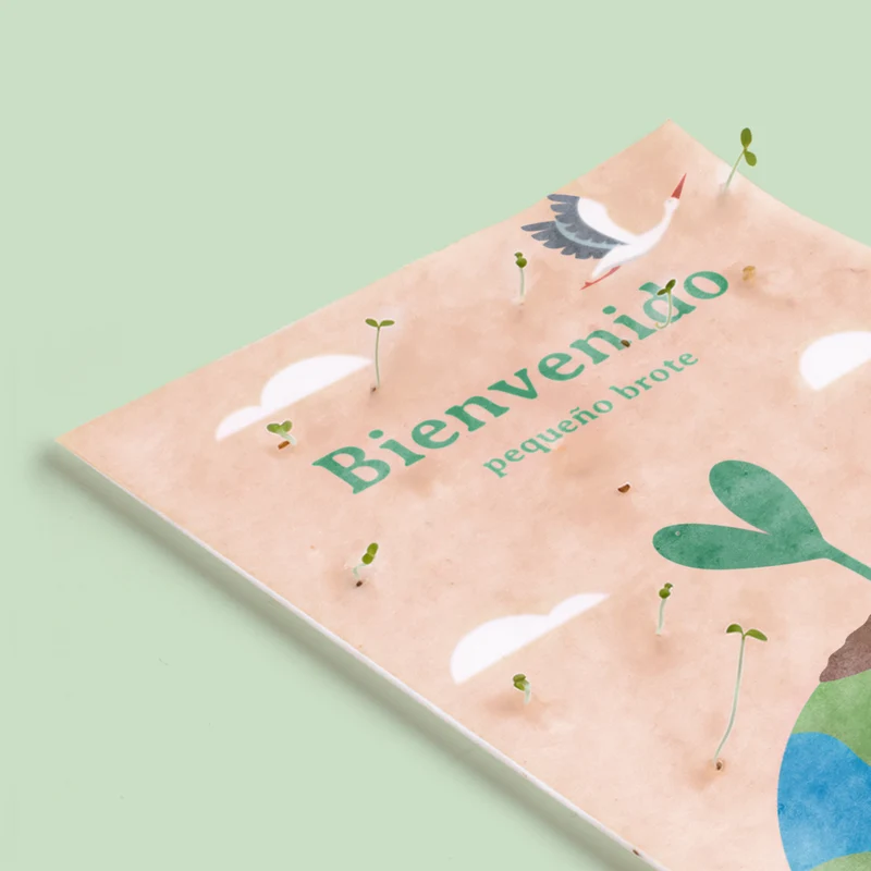 Postal Plantable Bienvenido con Semillas de Zanahoria – Regalo Original para Recién Nacidos - Resetea