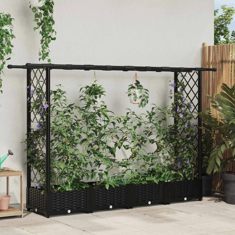 Cama Elevada Con Trellis Y Techo Negro 203 X 40 X 121 Cm Pp