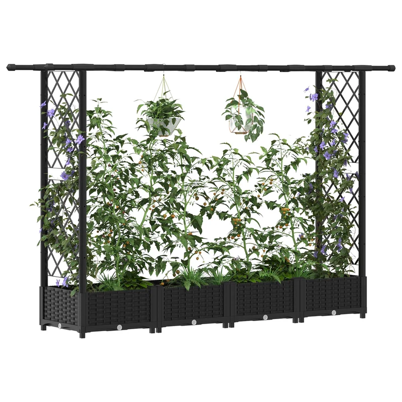 Cama Elevada Con Trellis Y Techo Negro 203 X 40 X 121 Cm Pp