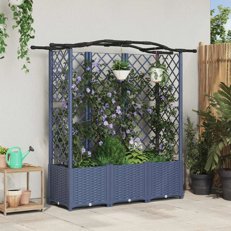 Cama Elevada Con Trellis Y Techo Gris 163 X 40 X 138 Cm Pp